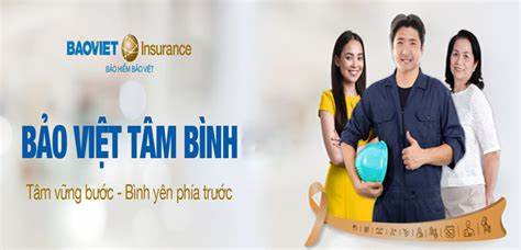 bảo hiểm sức khoẻ bảo việt tâm bình