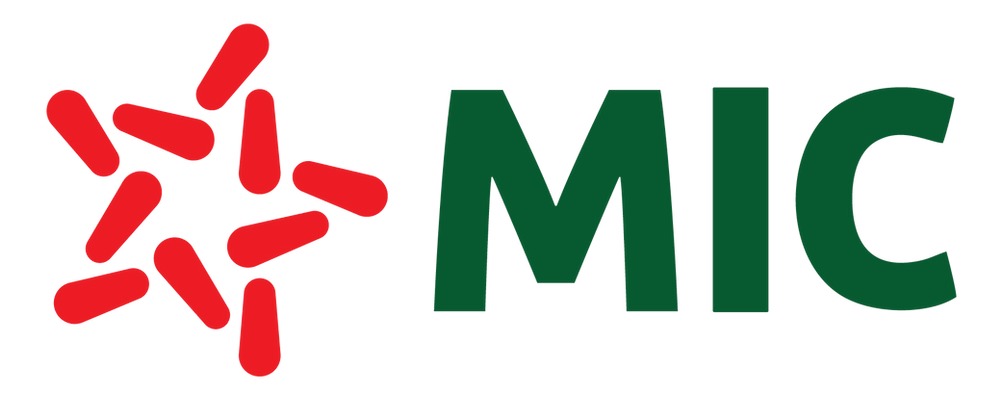 Công Ty Bảo Hiểm MIC